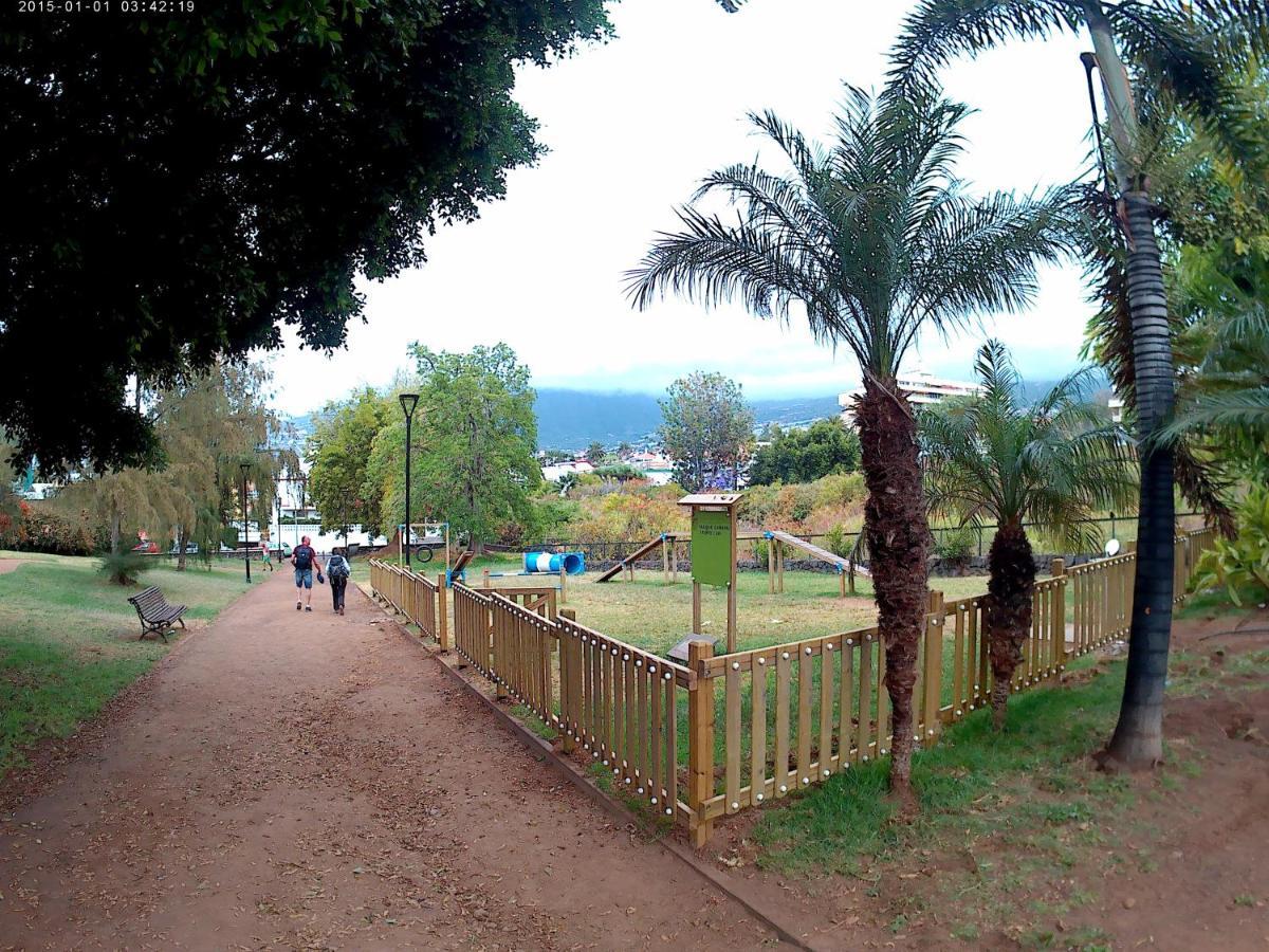 Estudio Brillante, Confortable Y Agradable Puerto de la Cruz  Bagian luar foto