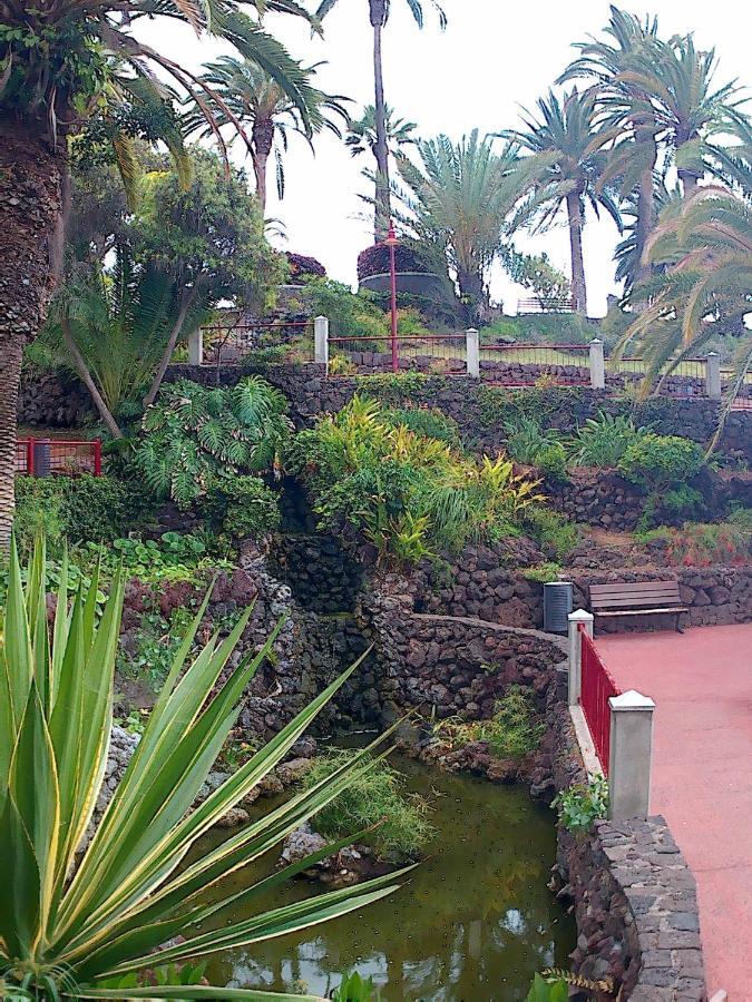 Estudio Brillante, Confortable Y Agradable Puerto de la Cruz  Bagian luar foto