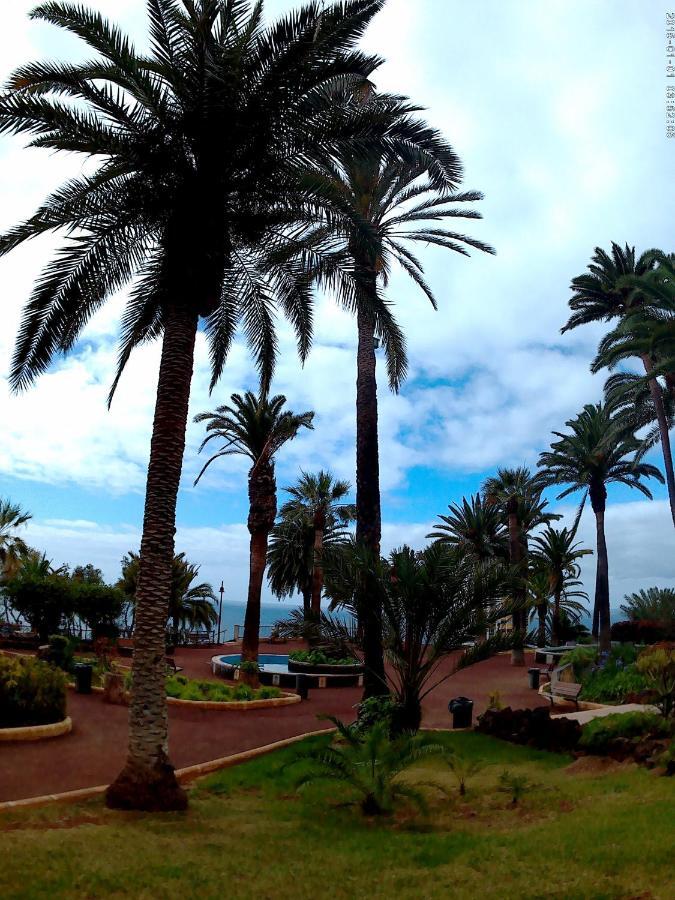 Estudio Brillante, Confortable Y Agradable Puerto de la Cruz  Bagian luar foto